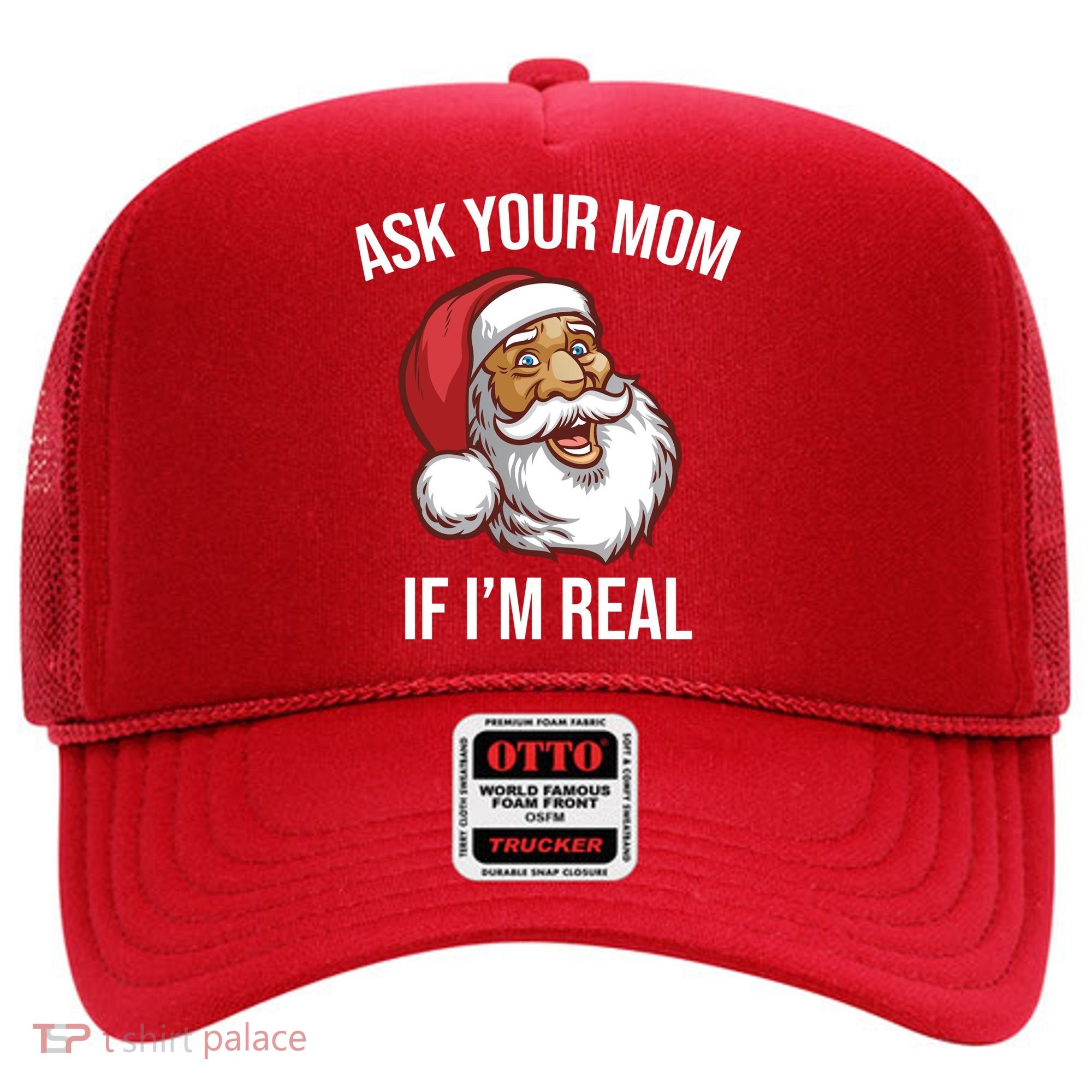 Ask Your Mom If I'm Real Funny Santa Hat