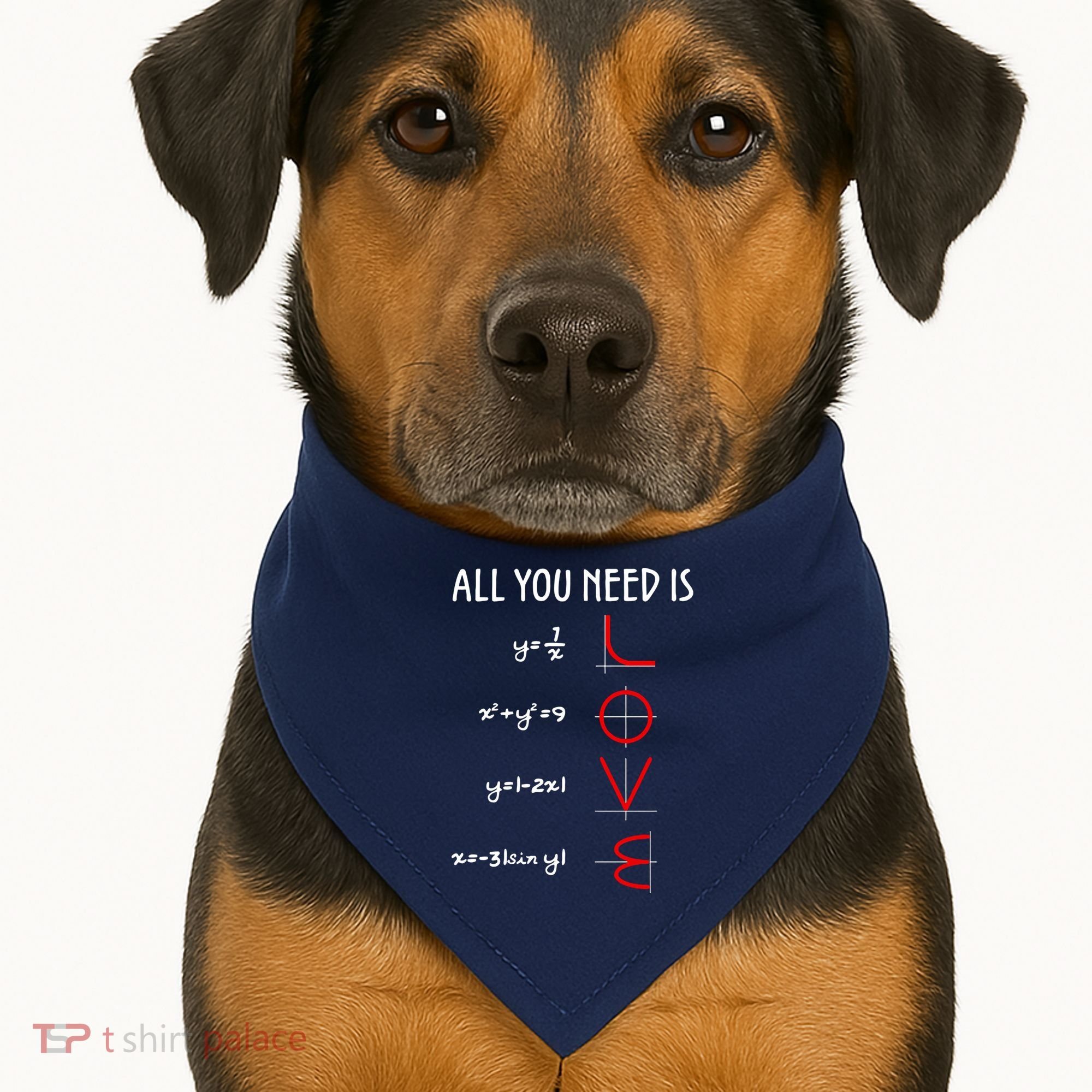 All You Need Is Love Math Vertical USA-Made Doggie Bandana