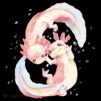 Axolotl Ying Yang Ornament thumb 1