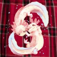 Axolotl Ying Yang Men's Flannel Plaid Pajama Pants thumb 2