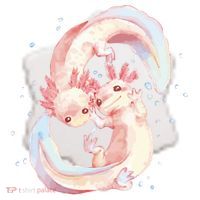 Axolotl Ying Yang Ceramic Ornament thumb 2