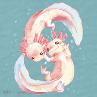 Axolotl Ying Yang Sueded Cloud Jersey T-Shirt thumb 2
