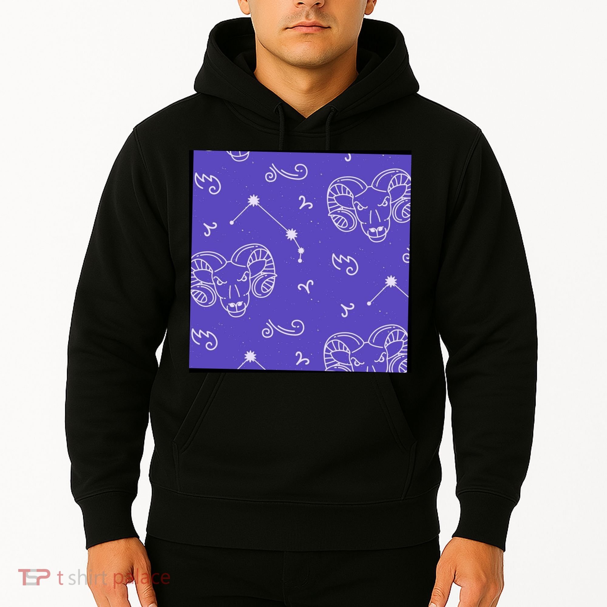 Aries Zodiac Astrology Hoodie
