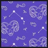 Aries Zodiac Astrology Hoodie thumb 7
