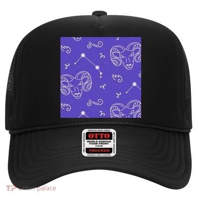 Aries Zodiac Astrology Hat