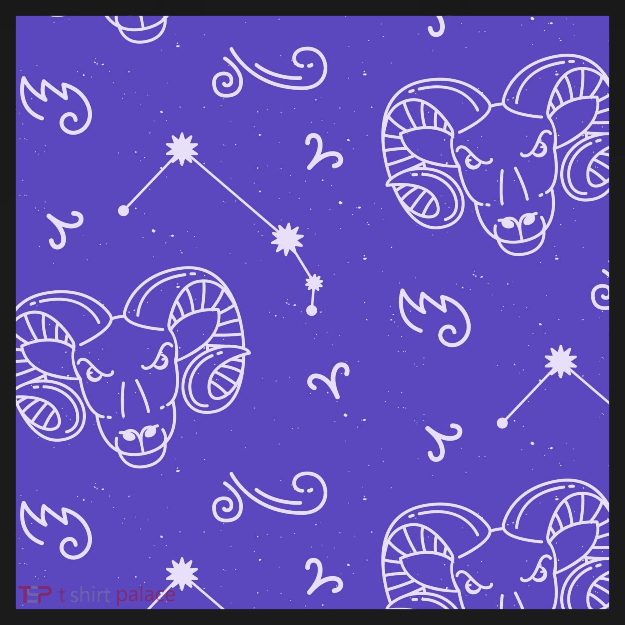 Aries Zodiac Astrology Tank Top