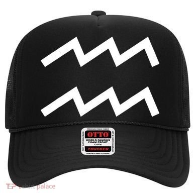 Aquarius zodiac Hat