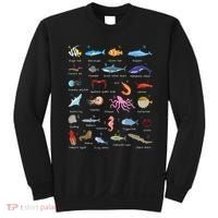 A Z Ocean Life Exploration Sea Creatures Alphabet Sweatshirt thumb 0
