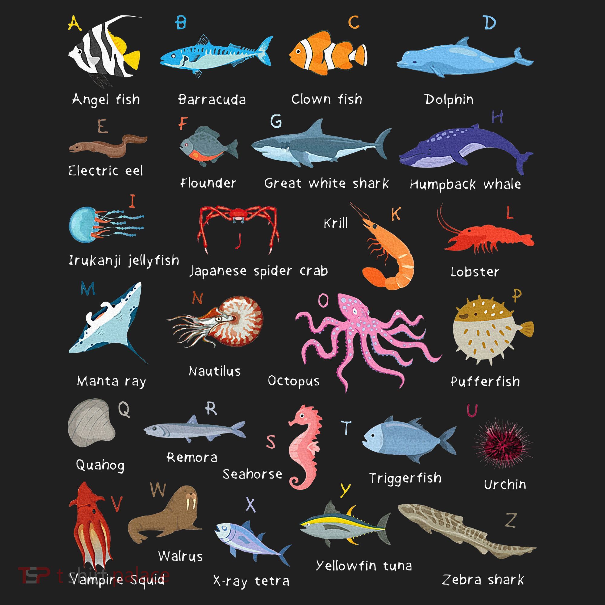 A Z Ocean Life Exploration Sea Creatures Alphabet Beanie