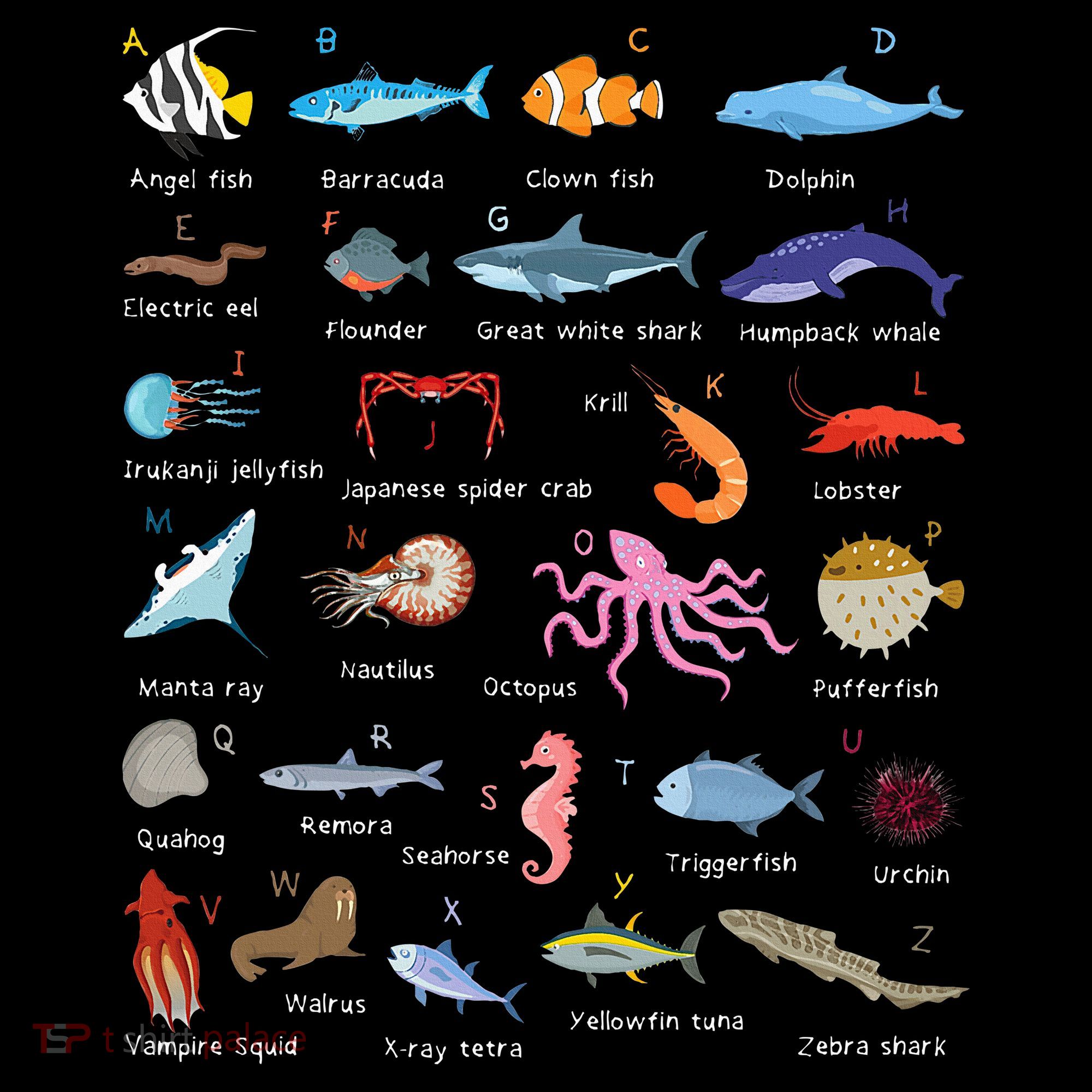 A Z Ocean Life Exploration Sea Creatures Alphabet Women's Hoodie