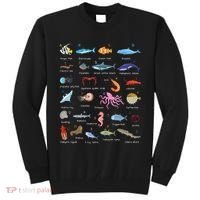 A Z Ocean Life Exploration Sea Creatures Alphabet Tall Sweatshirt thumb 0