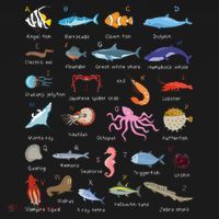 A Z Ocean Life Exploration Sea Creatures Alphabet Tall Sweatshirt thumb 2