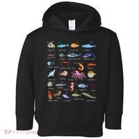 A Z Ocean Life Exploration Sea Creatures Alphabet Toddler Hoodie thumb 0