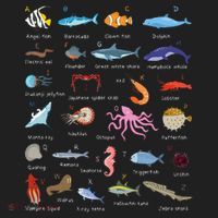 A Z Ocean Life Exploration Sea Creatures Alphabet Zone Performance Long-Sleeve T-Shirt thumb 2