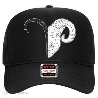 Aries Zodiac Symbol Birthday Gift Hat