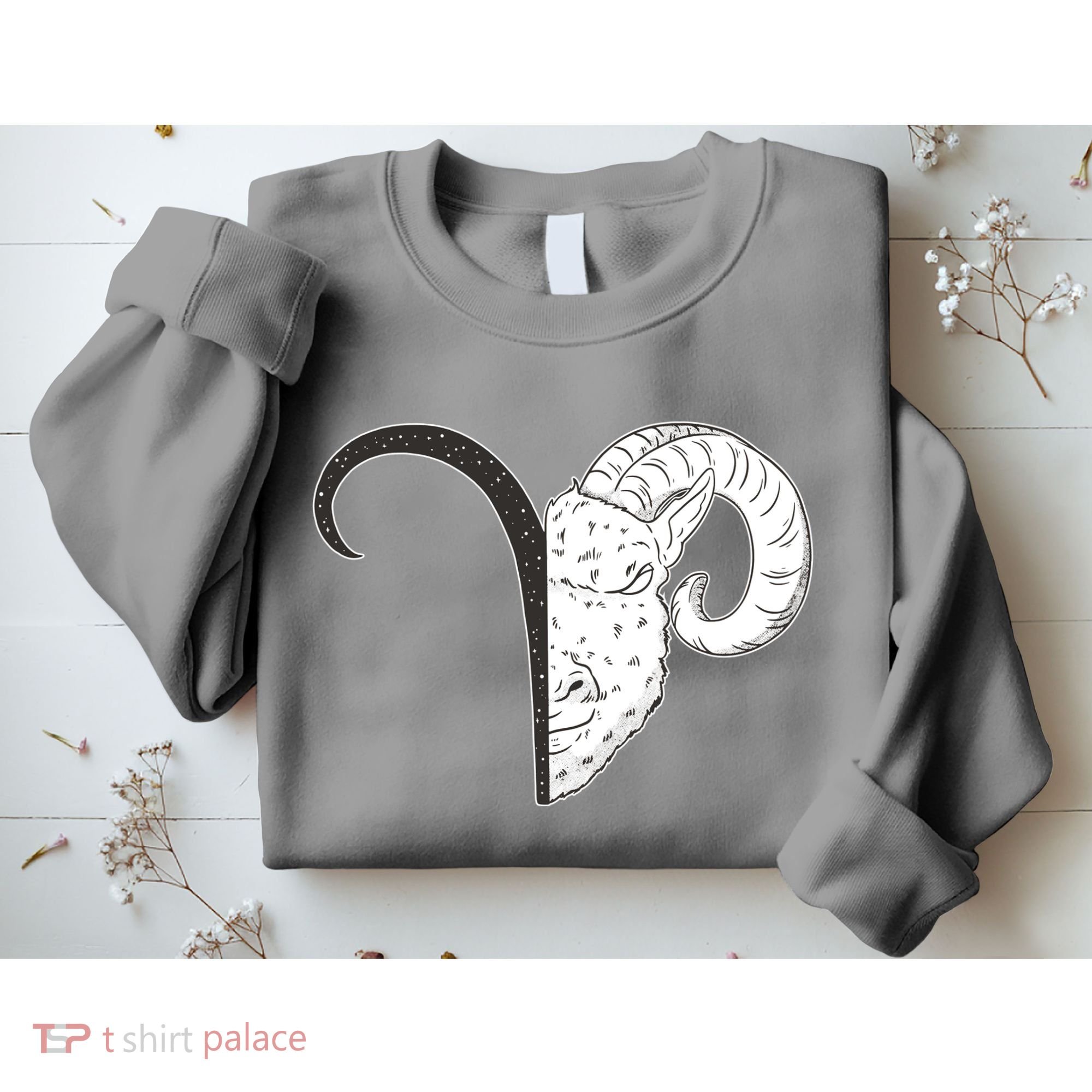 Aries Zodiac Symbol Birthday Gift Sweatshirt