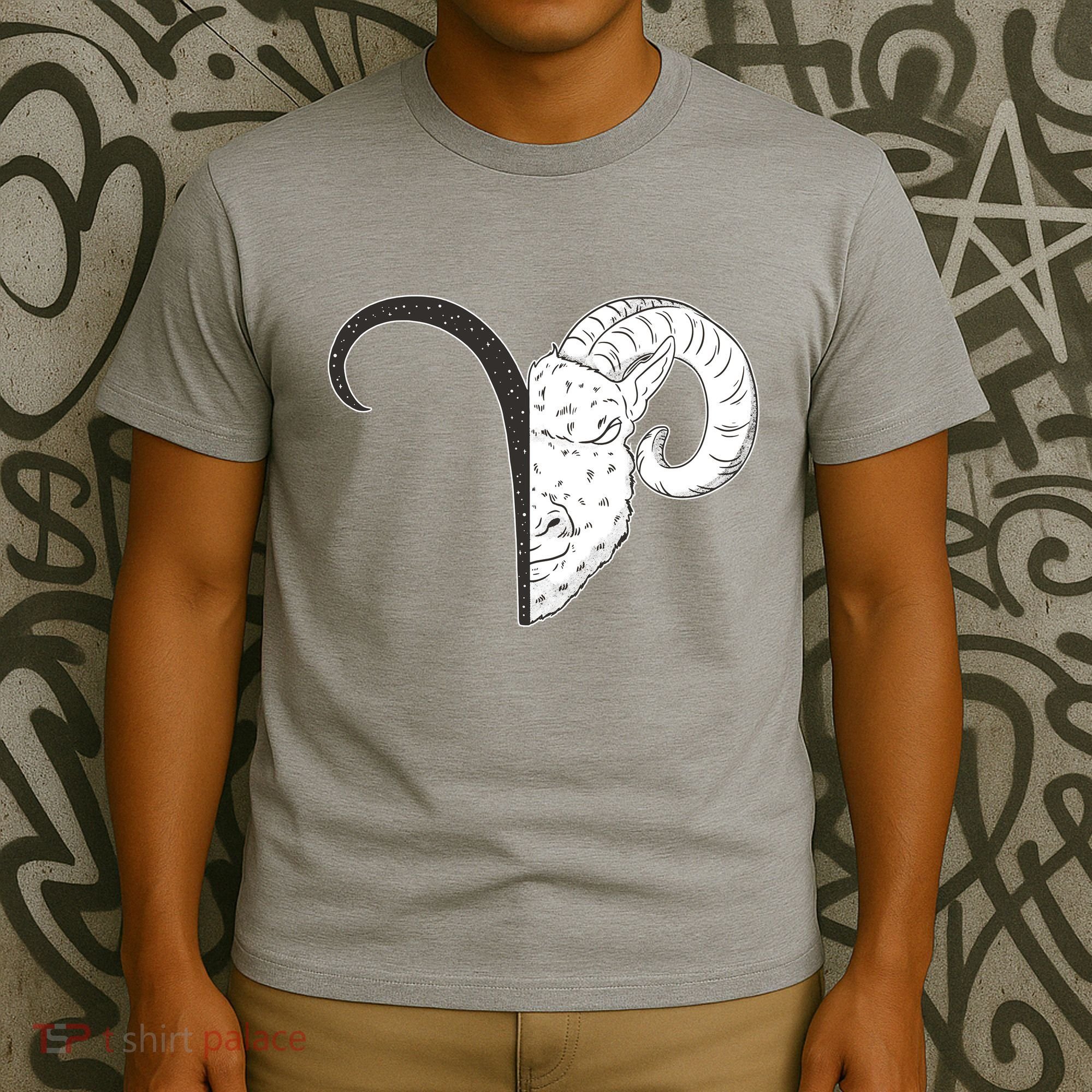 Aries Zodiac Symbol Birthday Gift T-Shirt