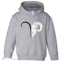 Aries Zodiac Symbol Birthday Gift Toddler Hoodie thumb 0