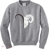 Aries Zodiac Symbol Birthday Gift Kids Sweatshirt thumb 0