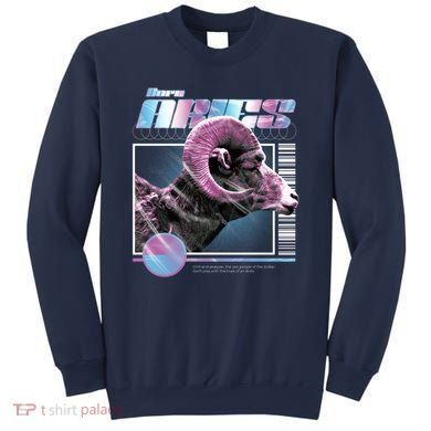 Aeries Zodiac Sign Sweatshirt