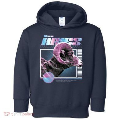 Aeries Zodiac Sign Toddler Hoodie