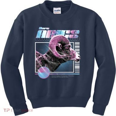 Aeries Zodiac Sign Kids Sweatshirt