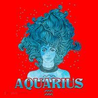 Aquarius Zodiac Woman Santa Hat thumb 1