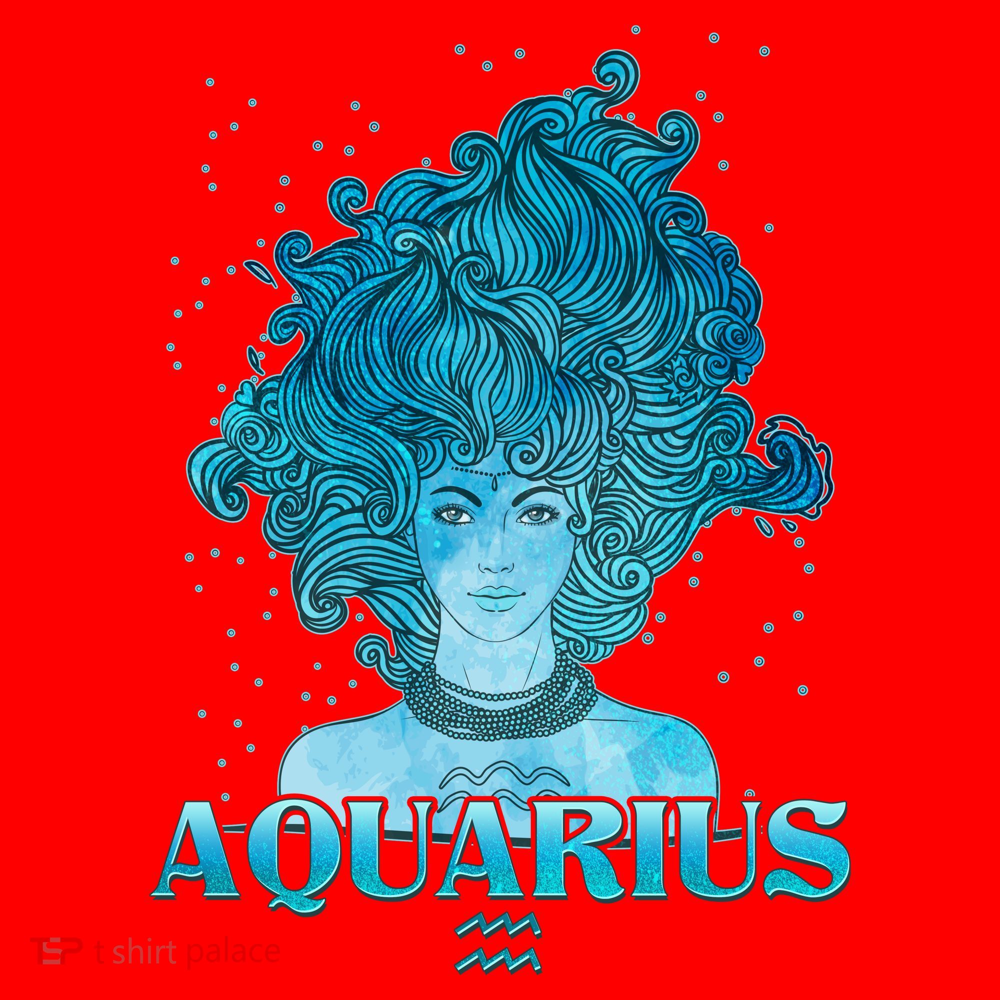 Aquarius Zodiac Woman Santa Hat