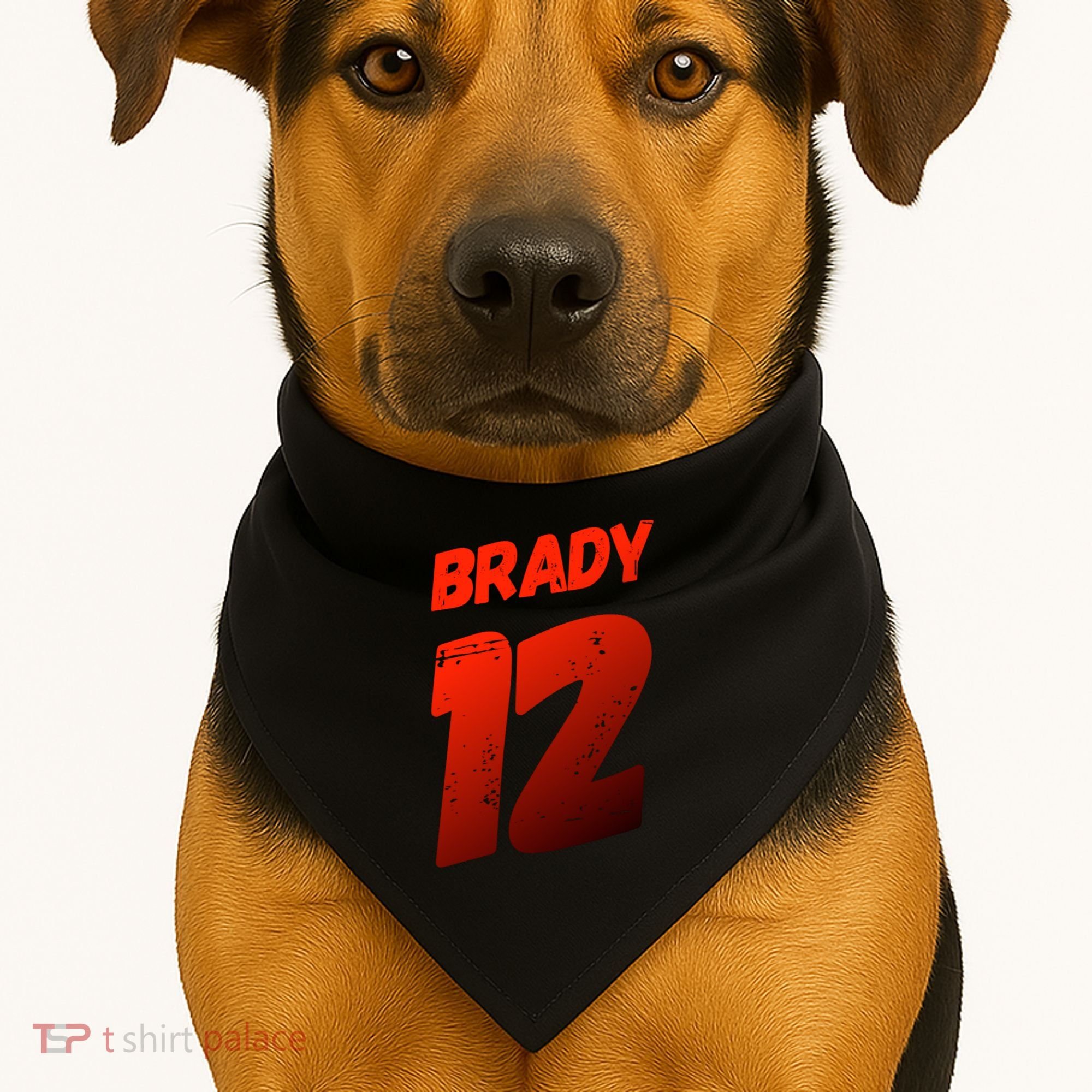 Brady 12 USA-Made Doggie Bandana