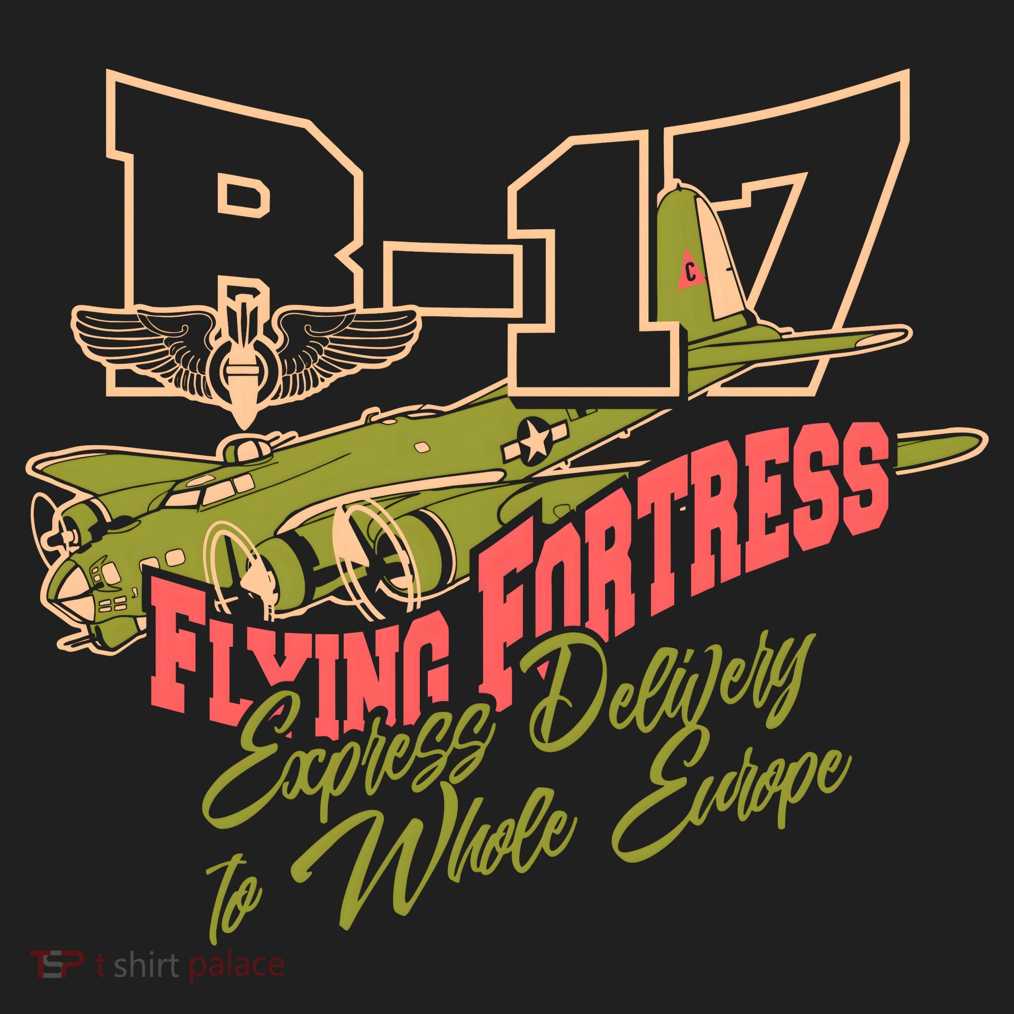 B 17 Flying Fortress Beanie