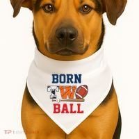 Born 2 Ball 2nd Birthday Sports 2 Year Old Second Bday USA-Made Doggie Bandana thumb 1