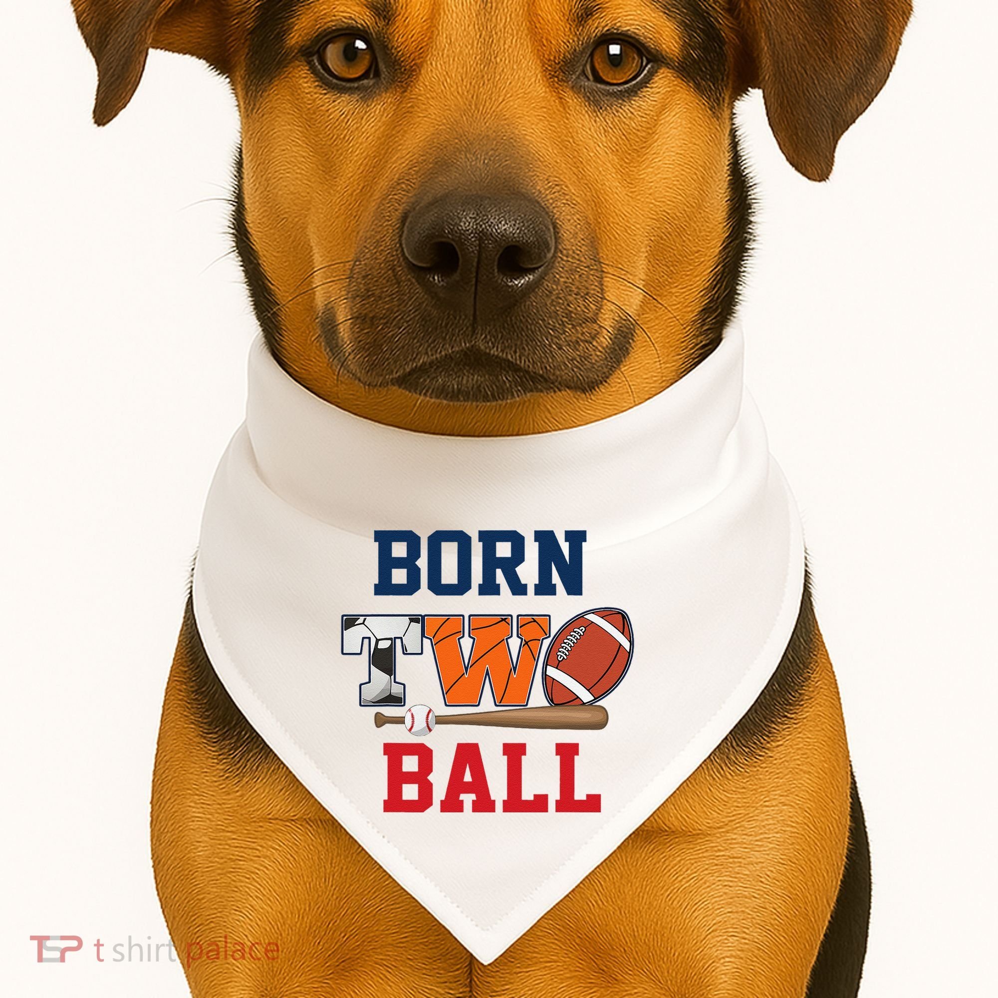 Born 2 Ball 2nd Birthday Sports 2 Year Old Second Bday USA-Made Doggie Bandana