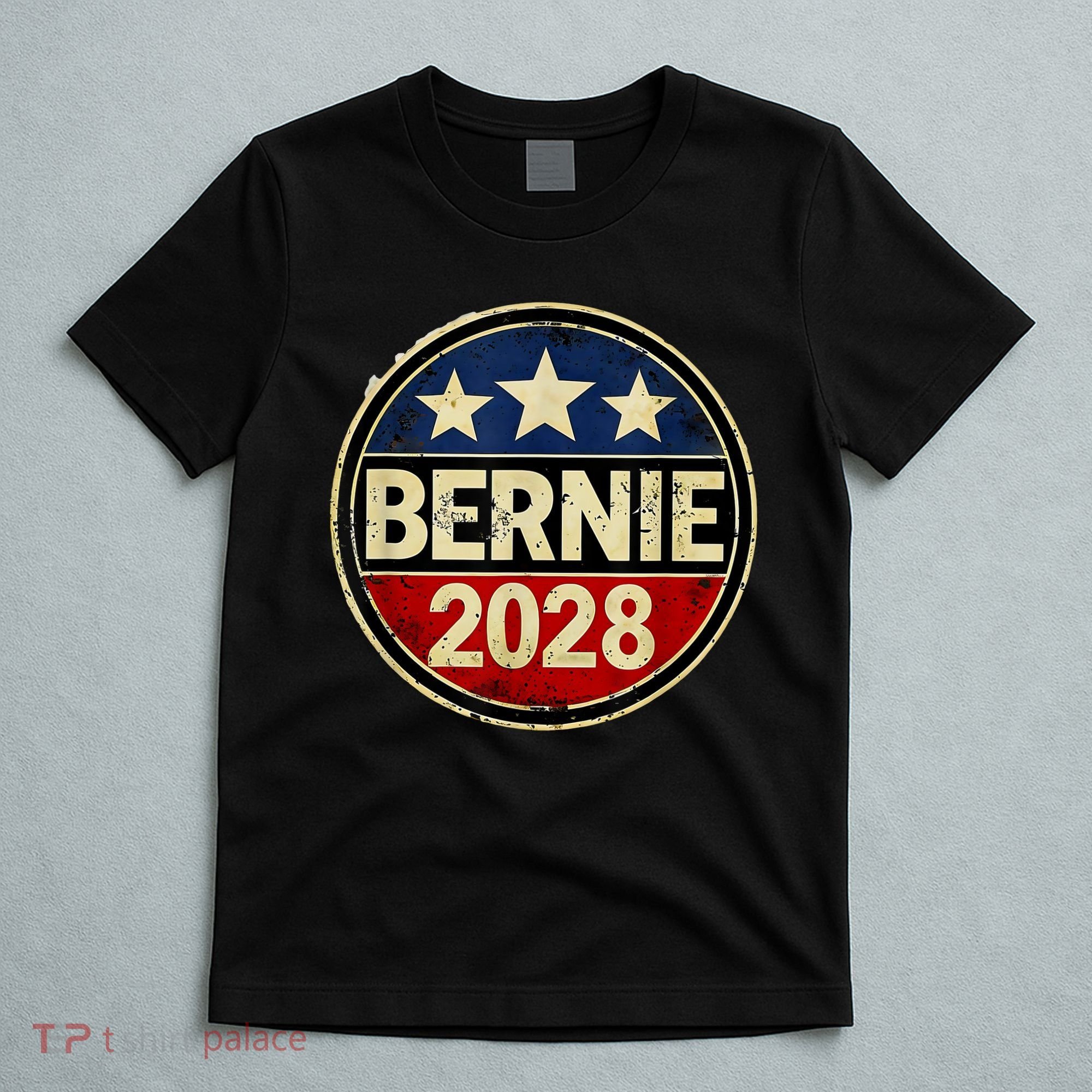 Bernie 2028 Sanders Was Right Democracy Resistance Protest  T-Shirt