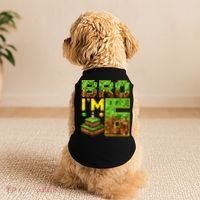Boy 6th Birthday Boy Bro I’M 6 Year Old Gamer Pixel Doggie Tank thumb 2