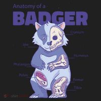 Badger Animal Anatomy Women's Sweatshirt thumb 2