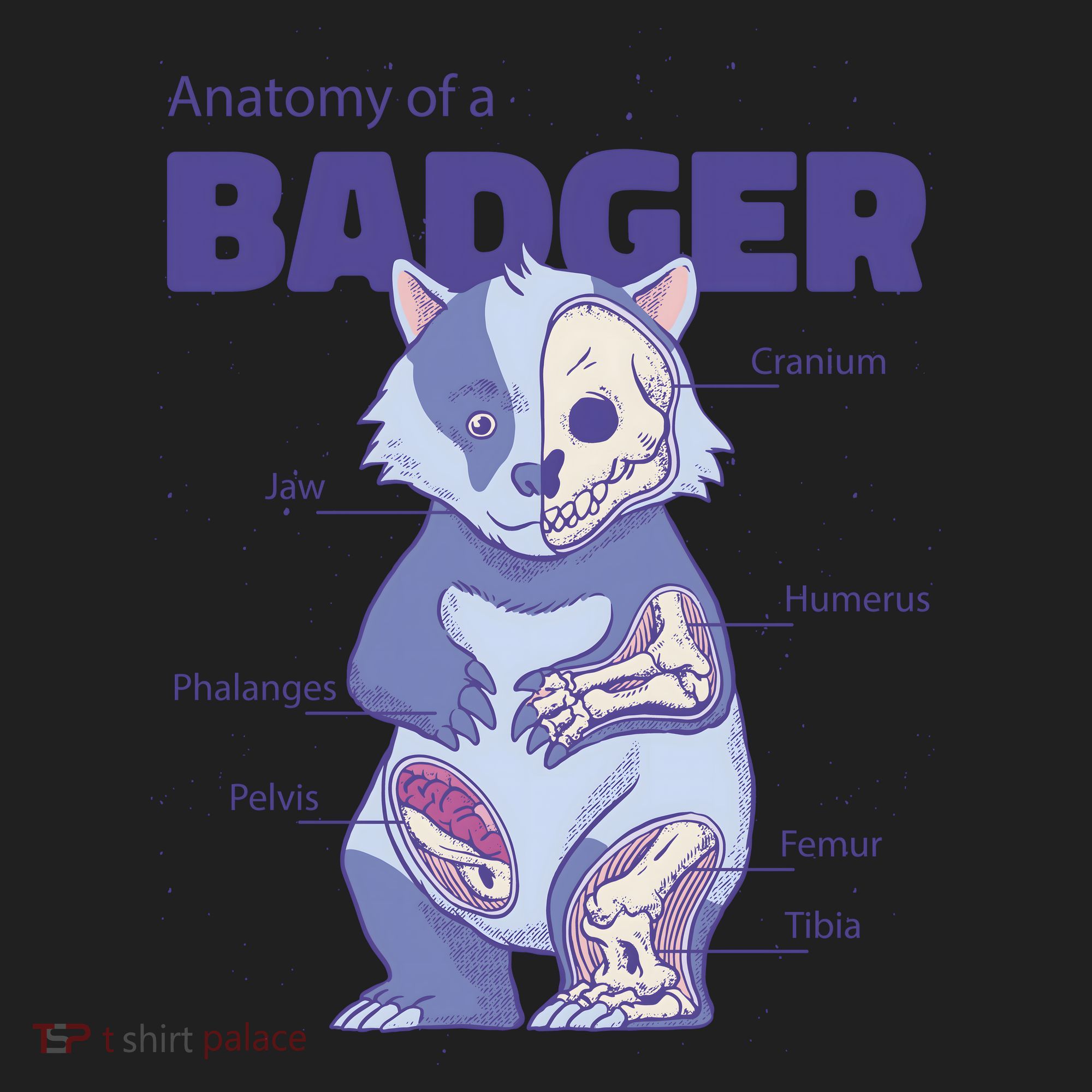 Badger Animal Anatomy Women's Sweatshirt