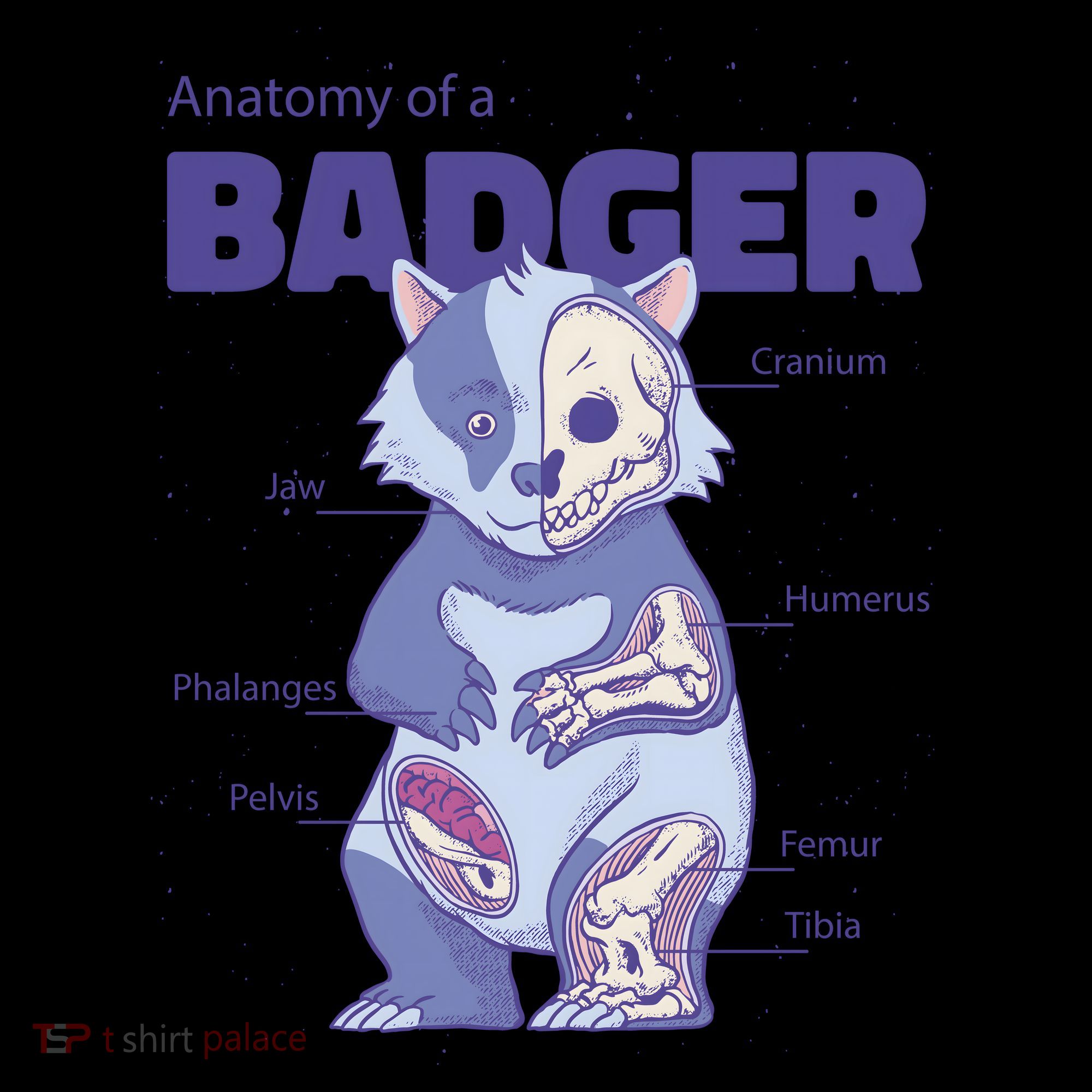 Badger Animal Anatomy Women's Hoodie
