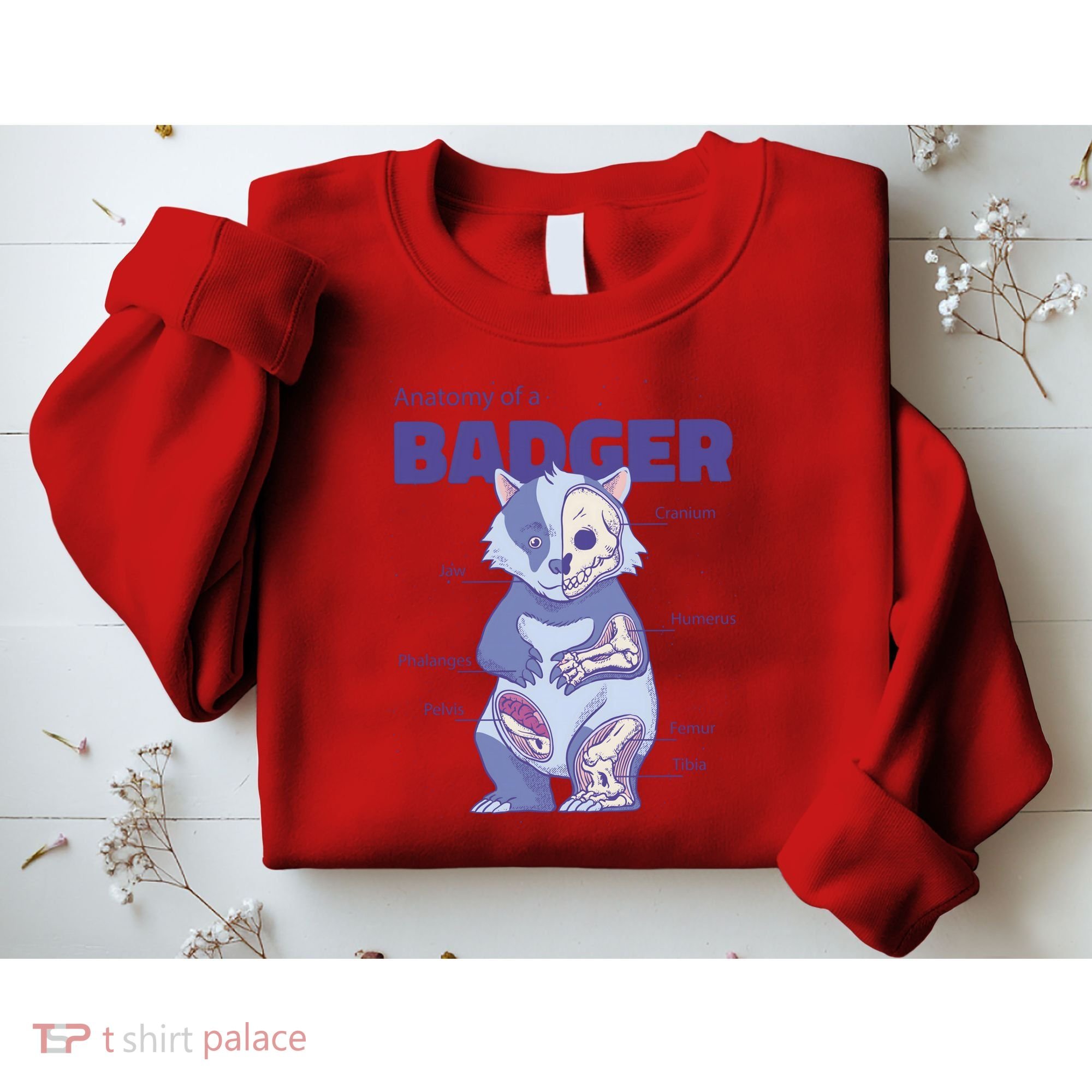 Badger Animal Anatomy Sweatshirt