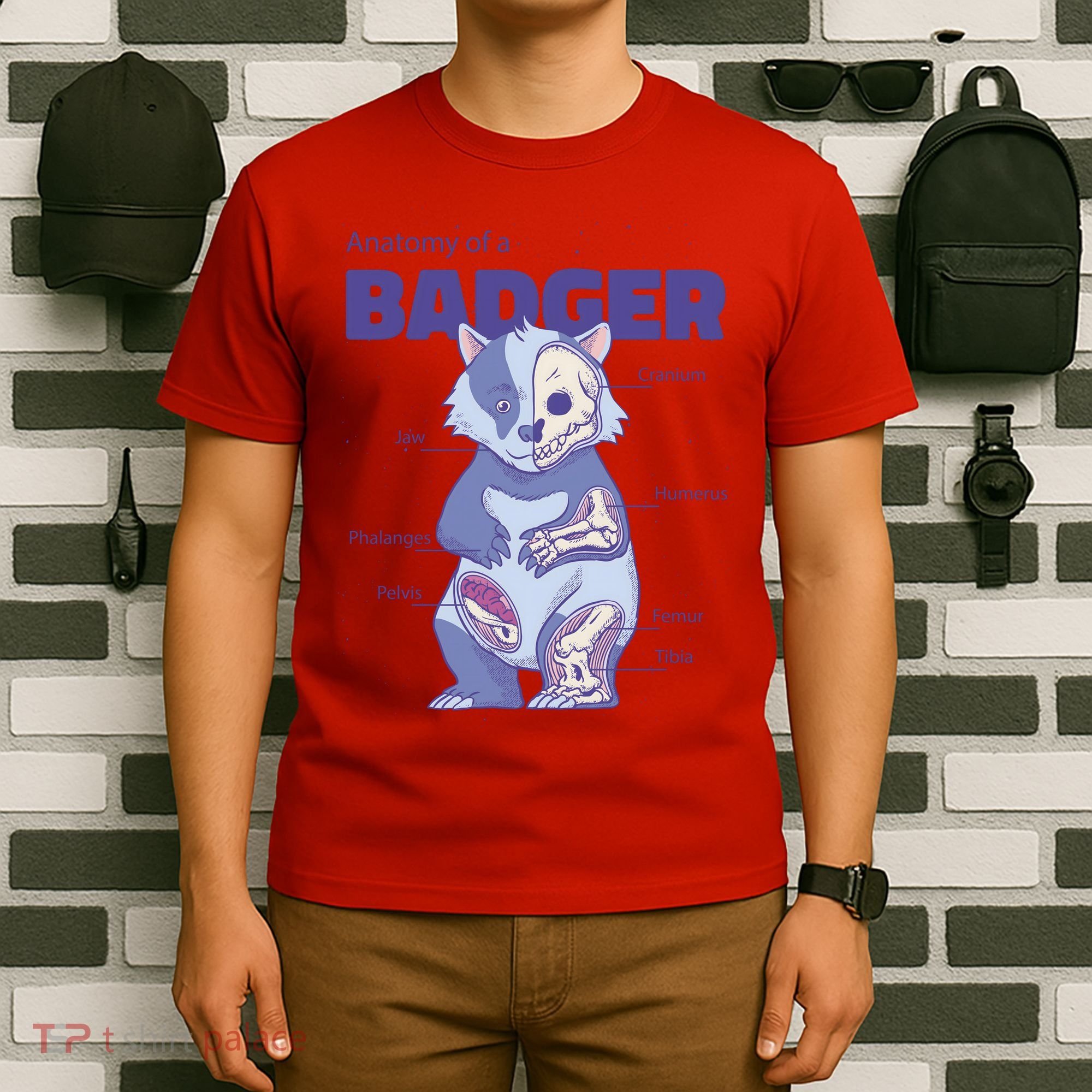 Badger Animal Anatomy T-Shirt