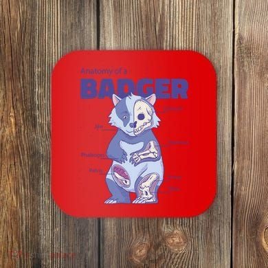 Badger Animal Anatomy Coaster