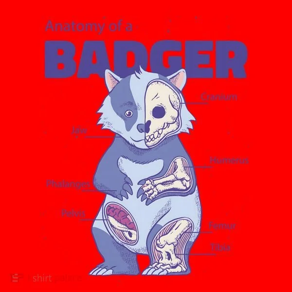 Badger Animal Anatomy Toddler T-Shirt