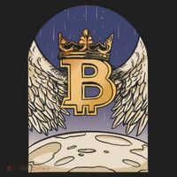 Bitcoin Angel Tumbler thumb 3