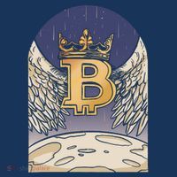 Bitcoin Angel Hat thumb 2