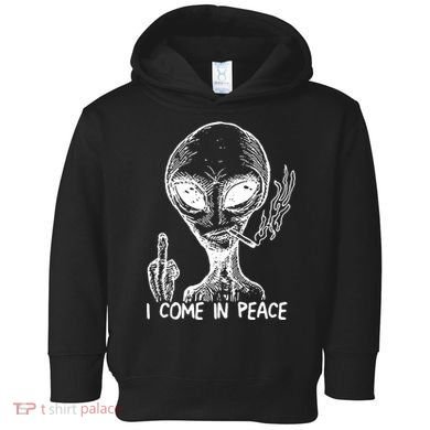 Because Aliens Toddler Hoodie