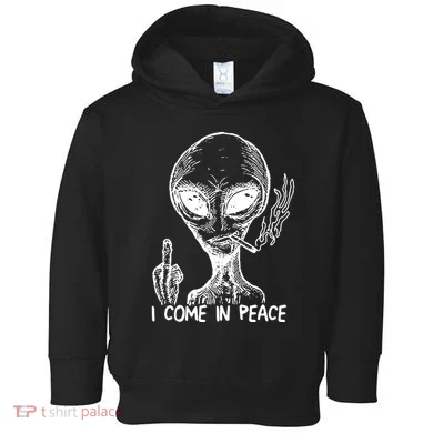 Toddler Hoodie