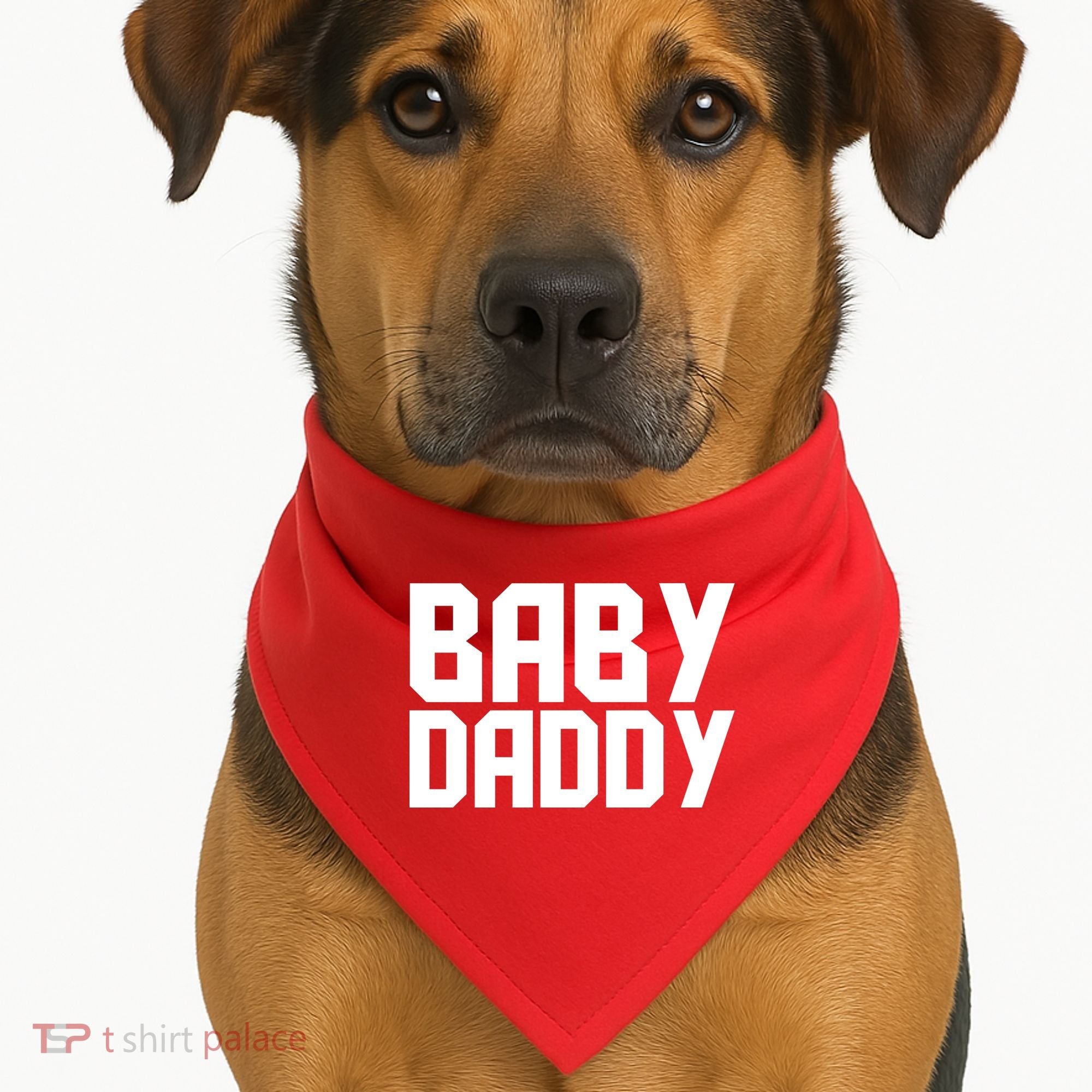 Baby Daddy USA-Made Doggie Bandana