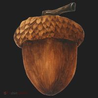 Big Acorn Costume Cute Easy Food Halloween Beanie thumb 2