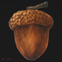Big Acorn Costume Cute Easy Food Halloween Mousepad thumb 1