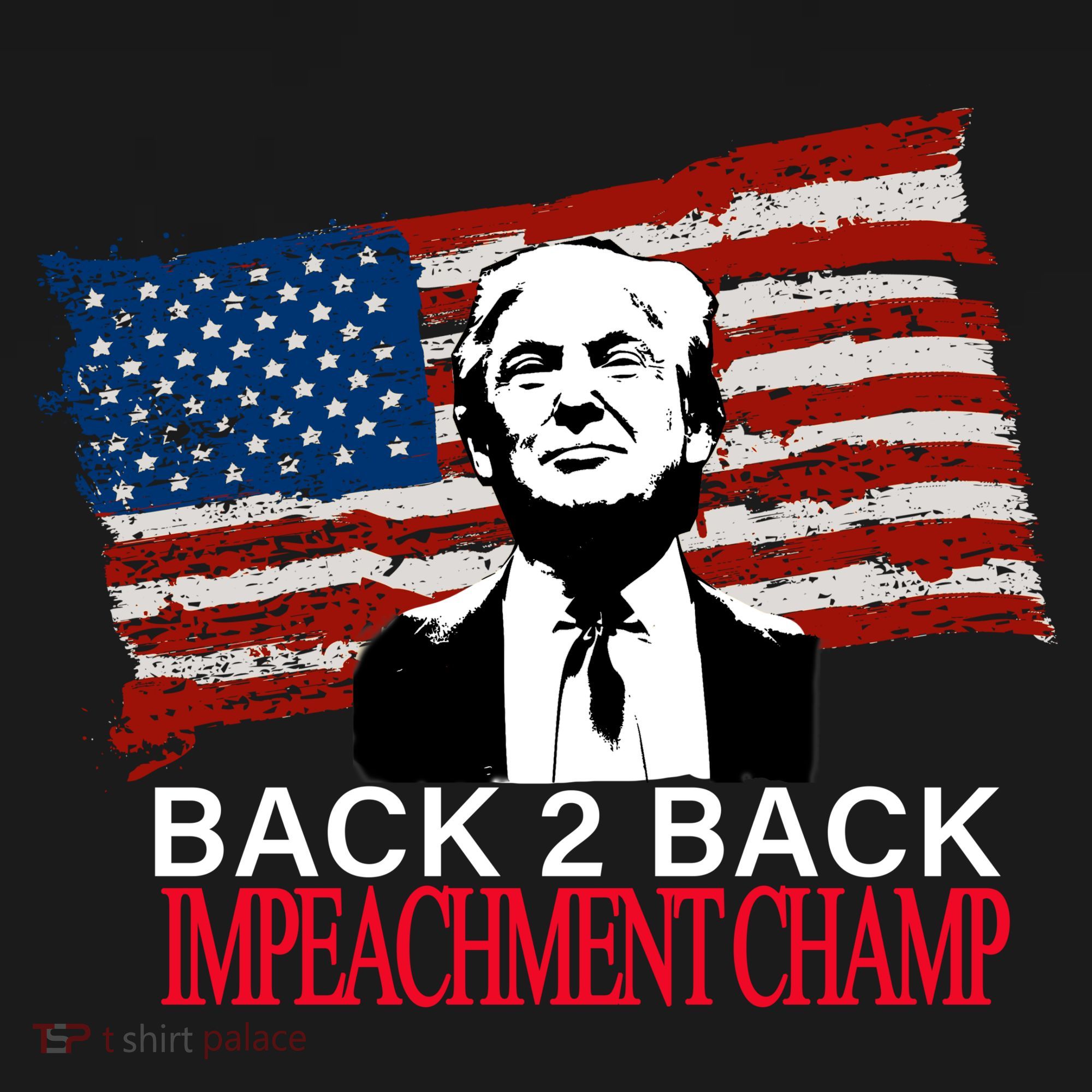 Back 2 Back Impeachment Champ Hoodie