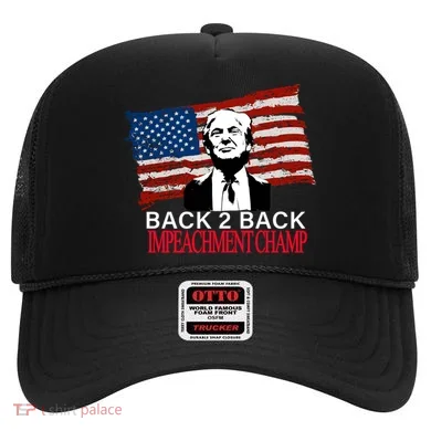 Back 2 Back Impeachment Champ Hat